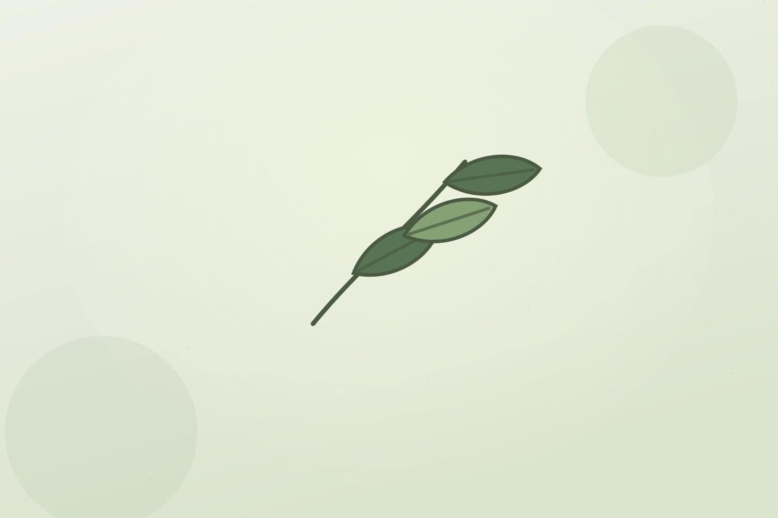 Editorial illustration of arabica coffee beans and leaves