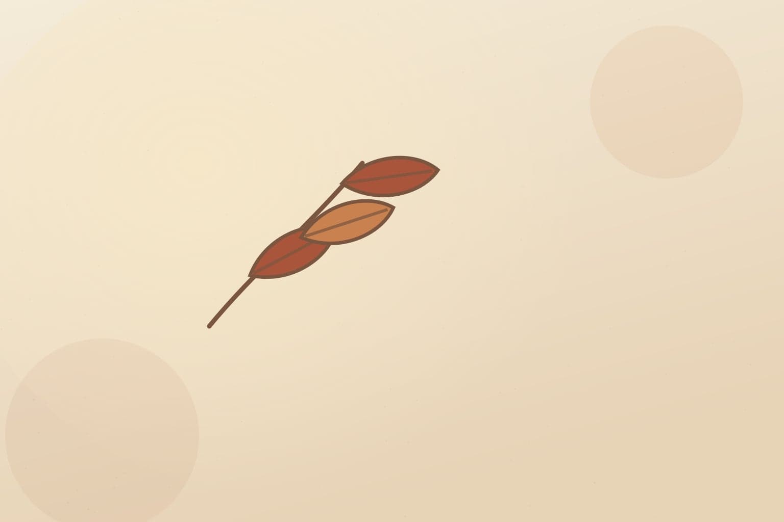 Editorial illustration of robusta coffee beans and leaves